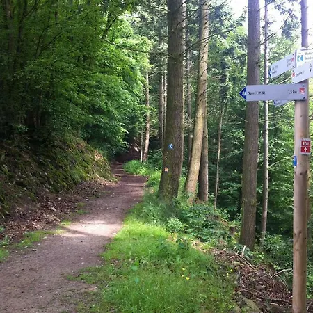 Sayn Bei Koblenz *