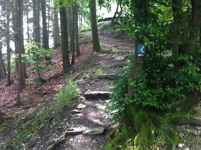 Sayn Bei Koblenz 度假居 本多夫