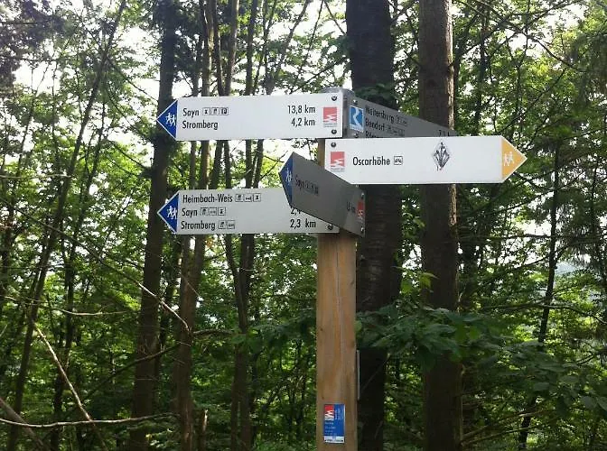 Sayn Bei Koblenz 本多夫